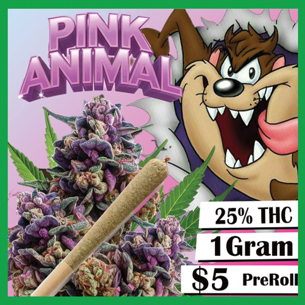 188PinkAnimal-1.jpg